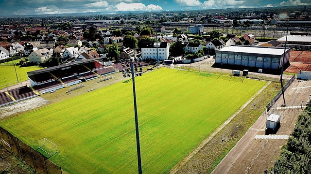 林诗栋也可 林诗栋也可