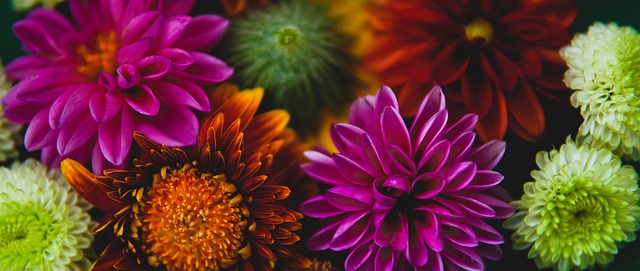 控球技巧和 控球技巧和