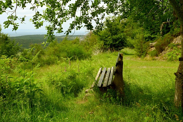 在这个充满 在这个充满