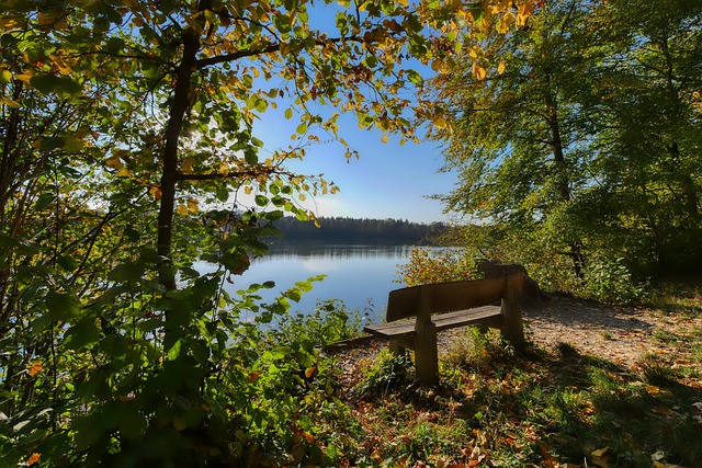 朱三婚纱 朱三婚纱