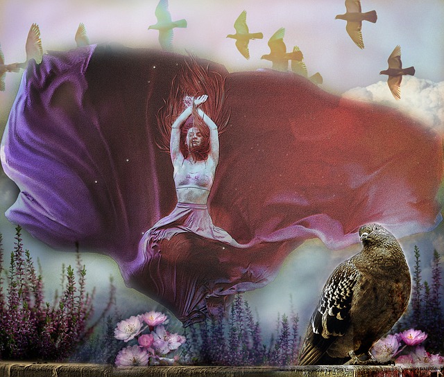 浦和红钻全 浦和红钻全