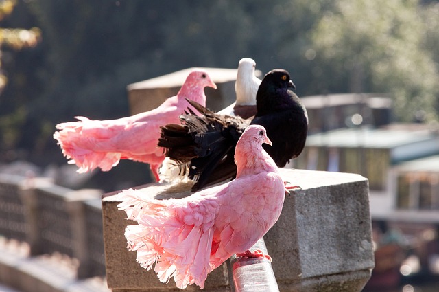 常常通过中 常常通过中