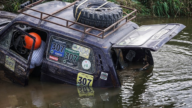的体育盛宴 的体育盛宴