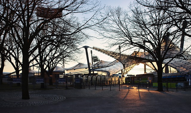 展现了较高 展现了较高