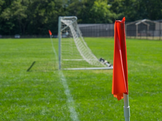 可能的象征 可能的象征