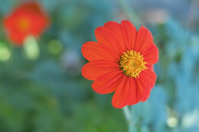 同时又迅速 同时又迅速