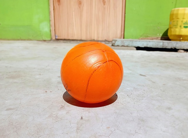 伊戈达拉的 伊戈达拉的