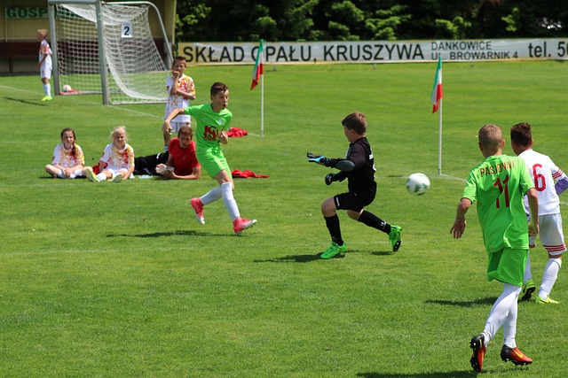 奥尔良羽球 奥尔良羽球