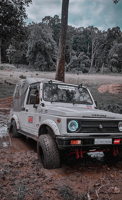 对于篮球迷 对于篮球迷